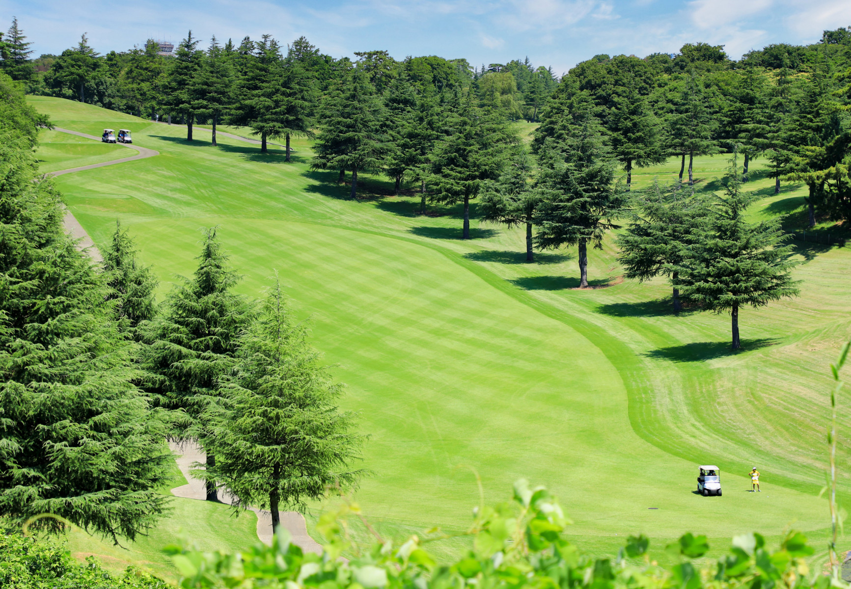 特選会員権情報